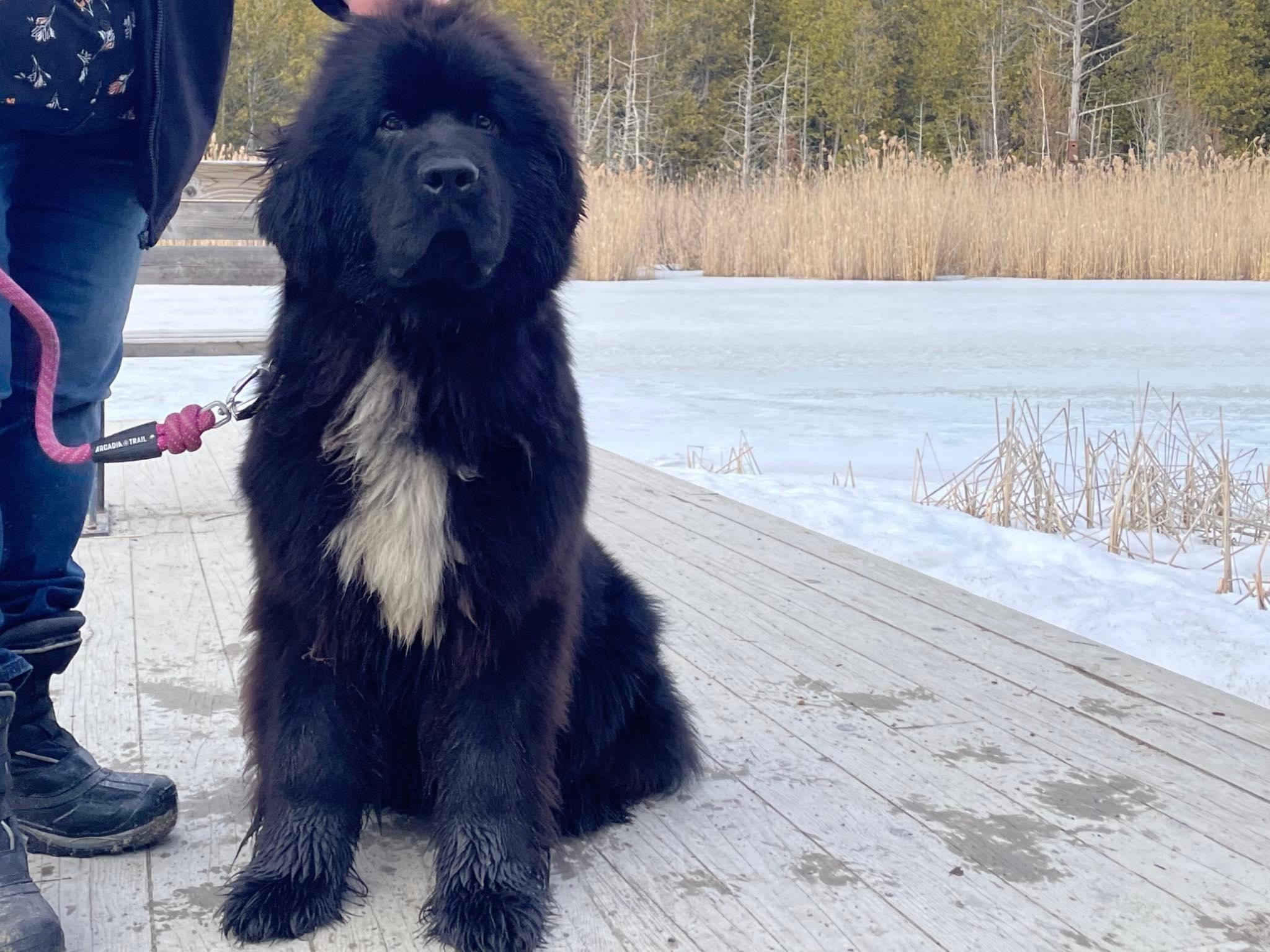 90A58F4D-F53D-46C7-8B0B-9BB46EADBD17