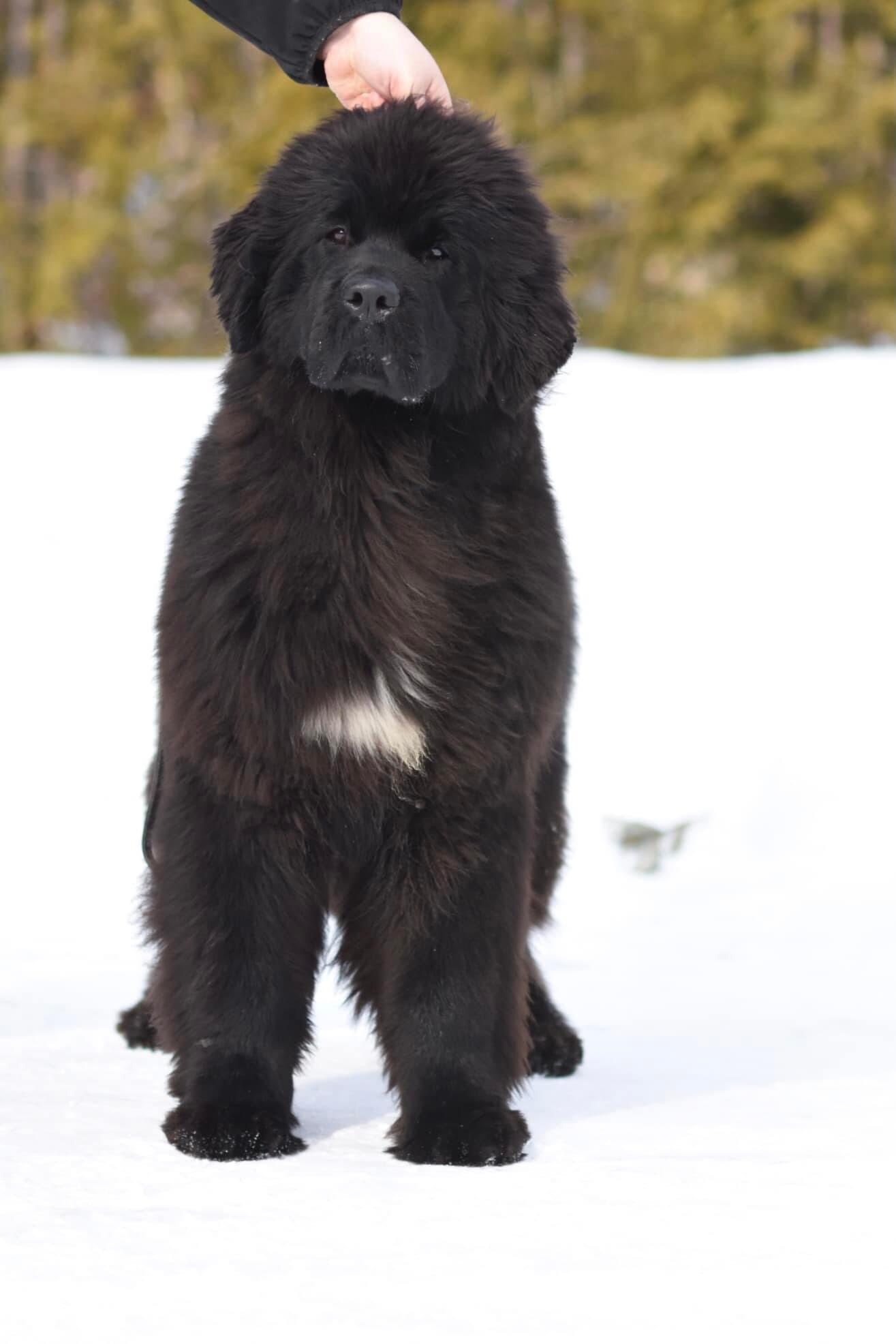 93DE4D0C-36B7-48F4-9FD9-BF5AF0B056C9