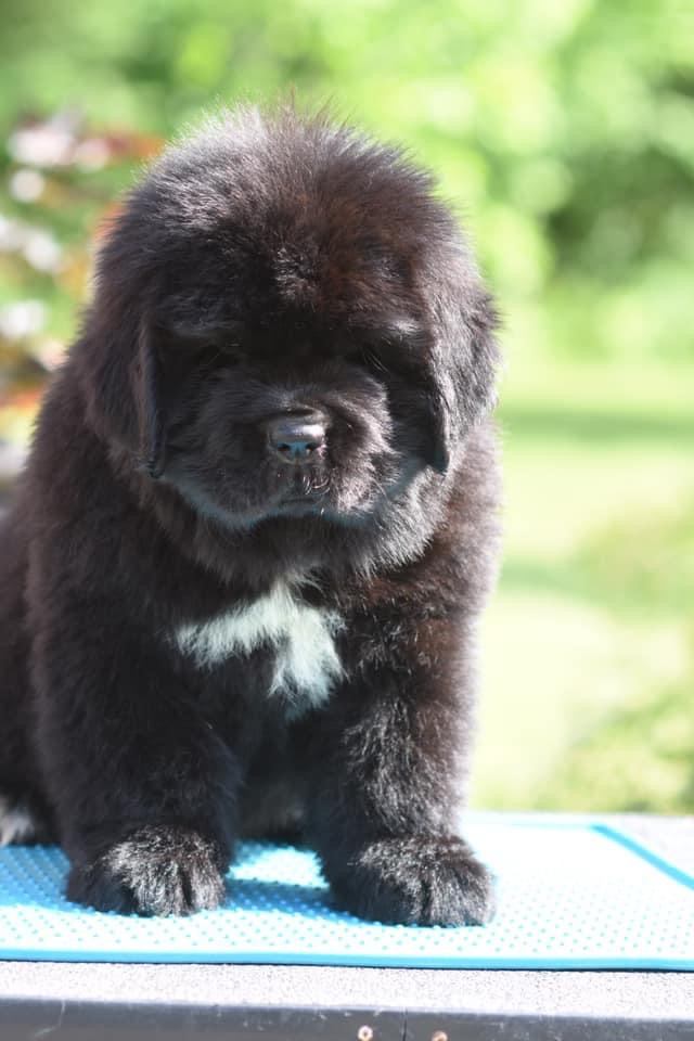 A91C62CE-9AB8-4B70-9AFF-557DBF49F715