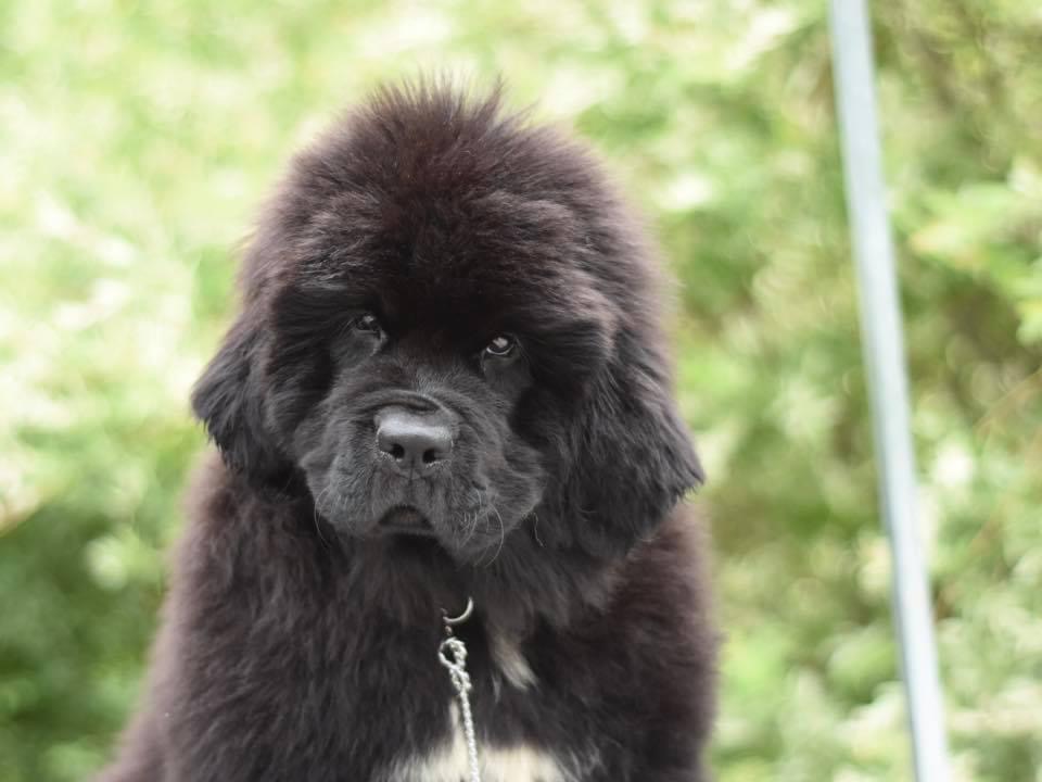 AF7924E6-1B79-4924-9D27-0ECE04D59391