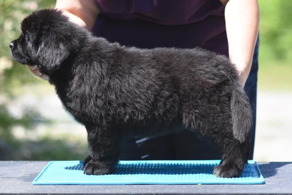 BCA4D8BD-987D-4D26-8482-83DDA1A9274C