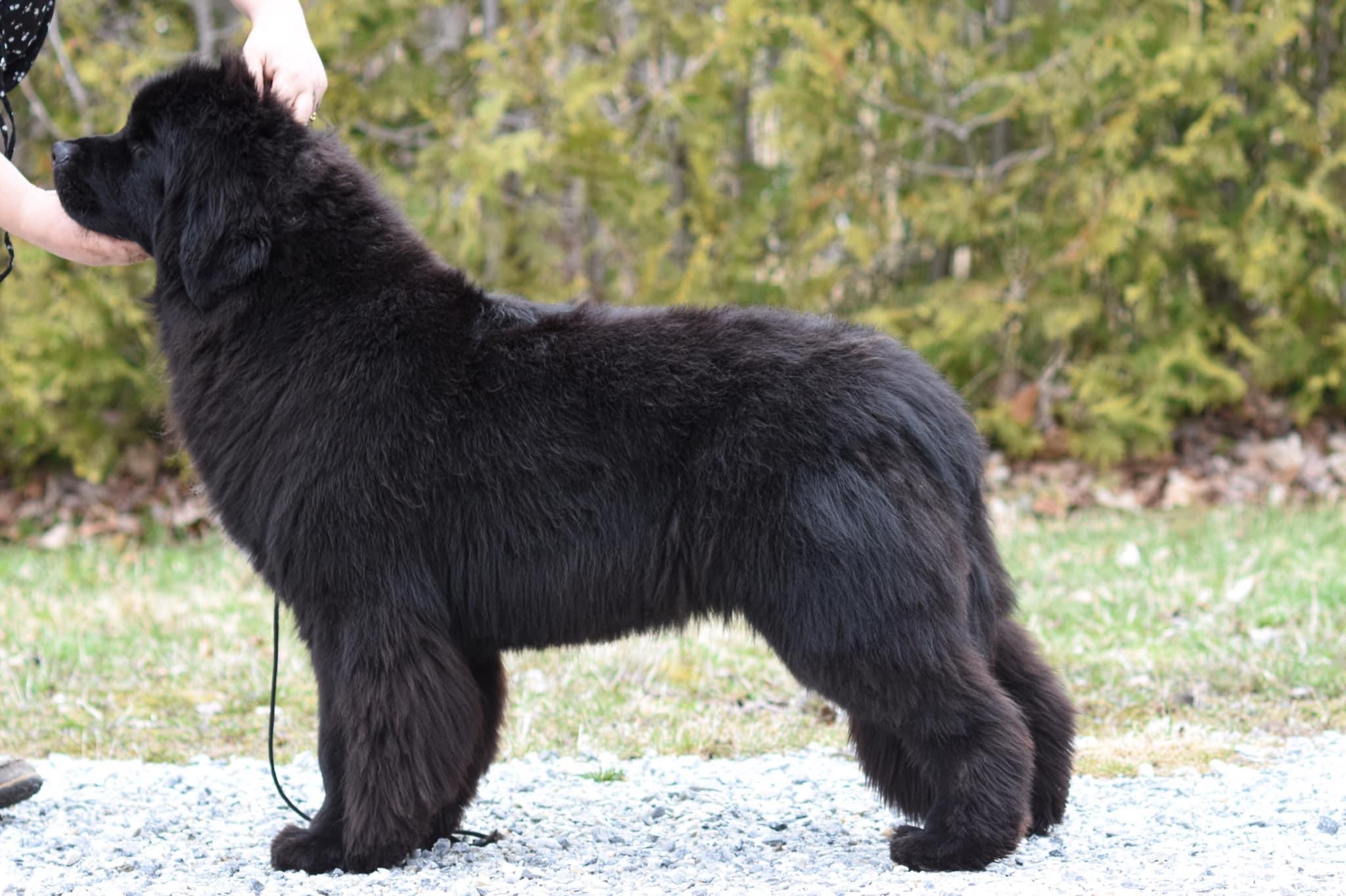 F318129C-CADA-4973-8FF8-9BB36AFC0666