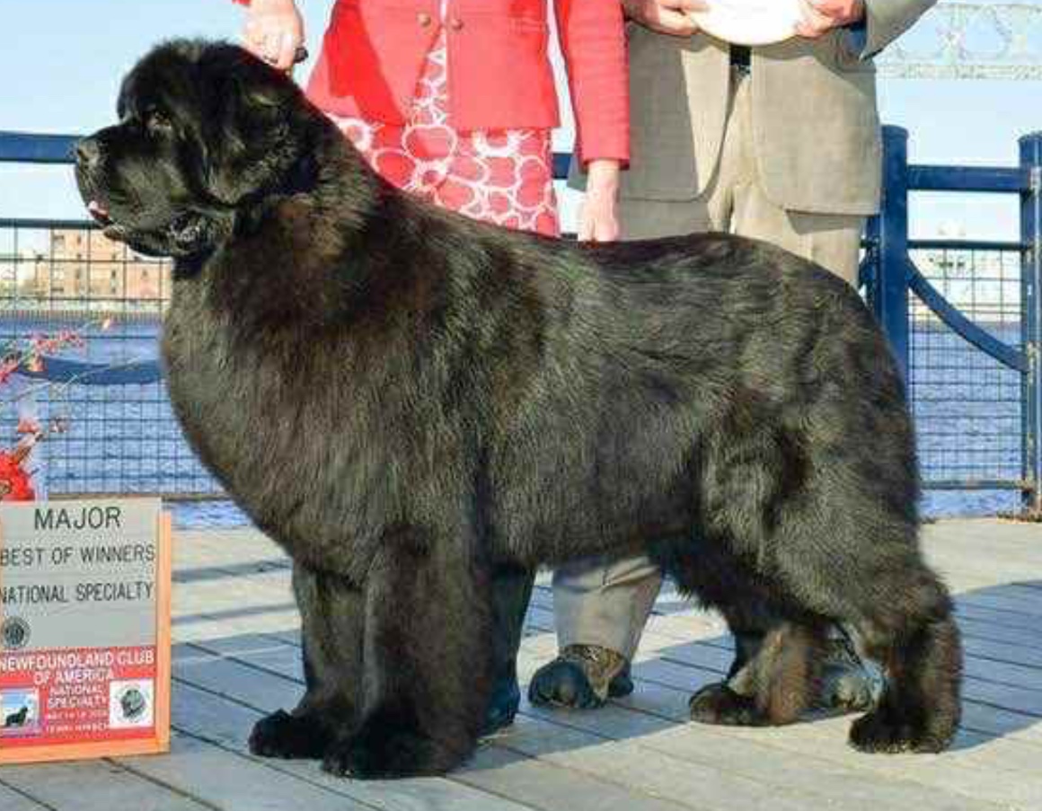 65BD2413-B637-4B84-93ED-E49250468CF6